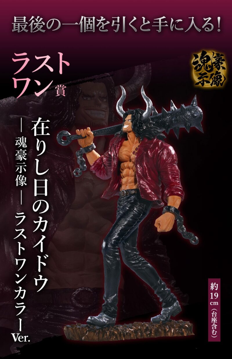 Loterie Ichiban Kuji One Piece EX Loyalty to Thunder – Image 9
