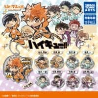 Gachapon Haikyu!! Porte Cles Pita Deforme vol.2