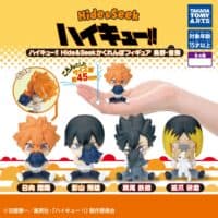 gachapon haikyuu hide and seek figurine